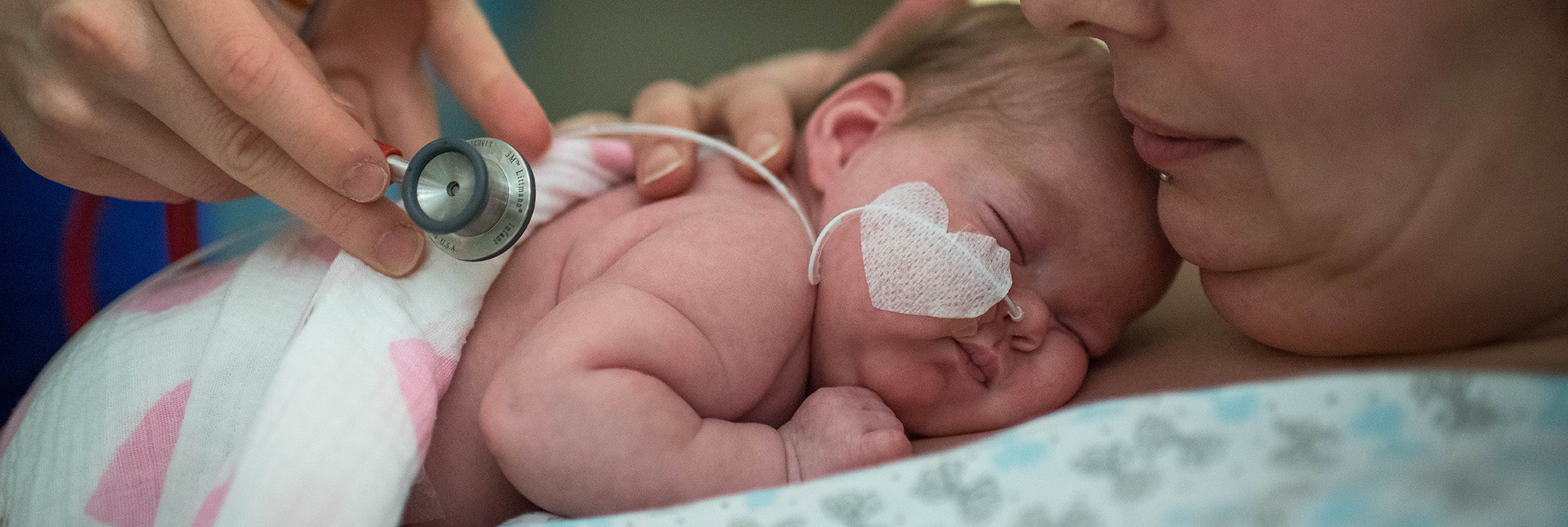 Newborn baby in the NICU